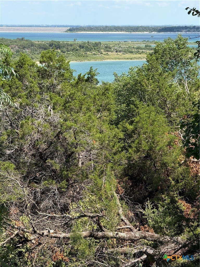 Belton, TX Land with Views
