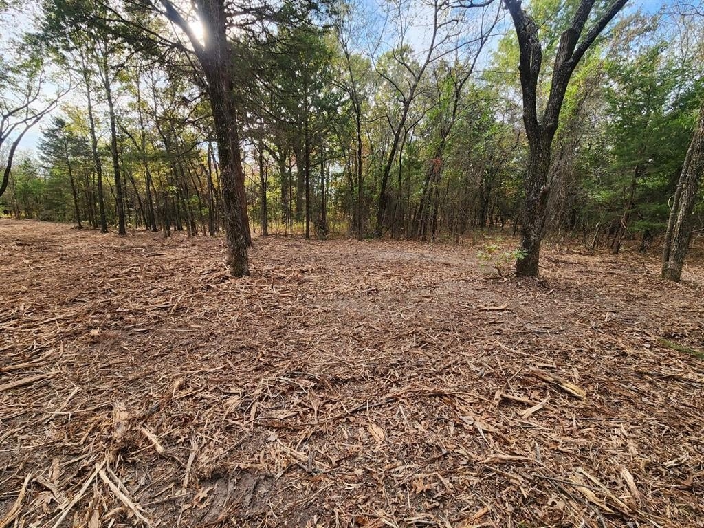 Picture 5