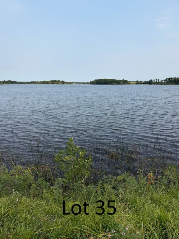 Picture 20