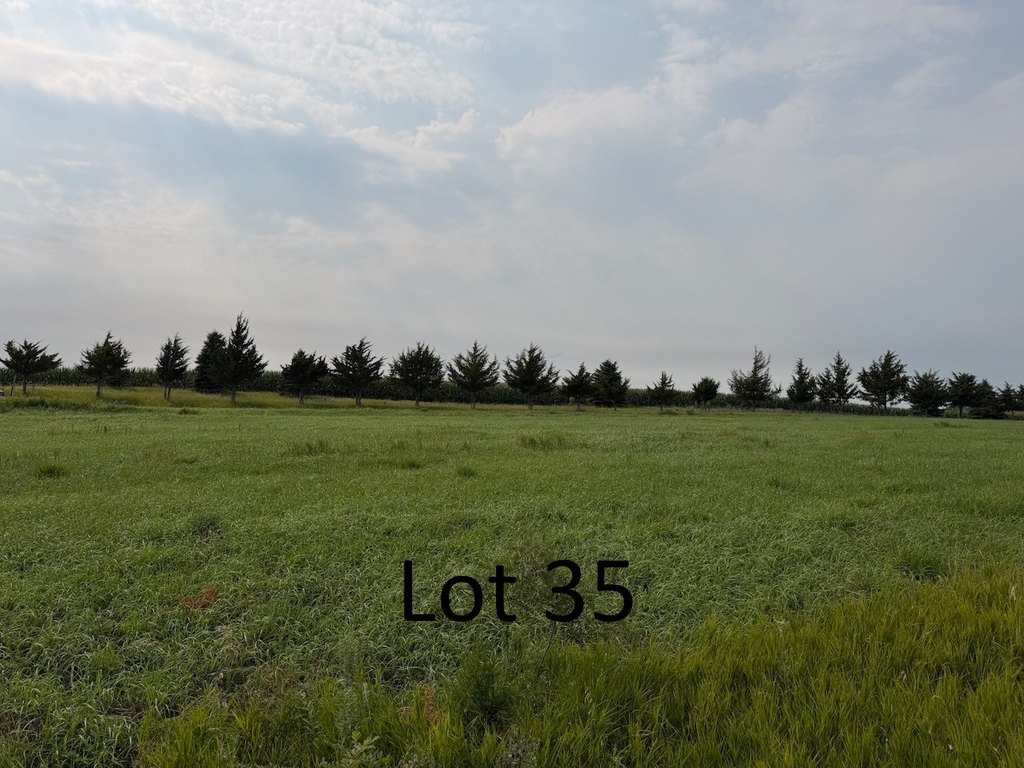 Picture 21