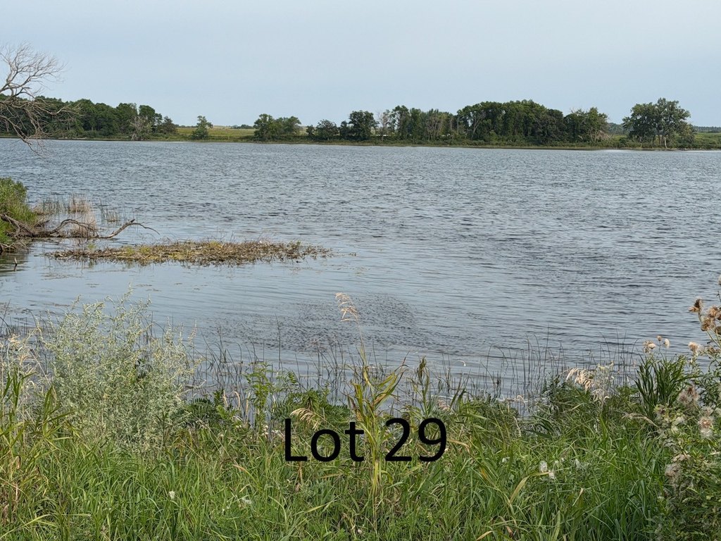 Picture 9