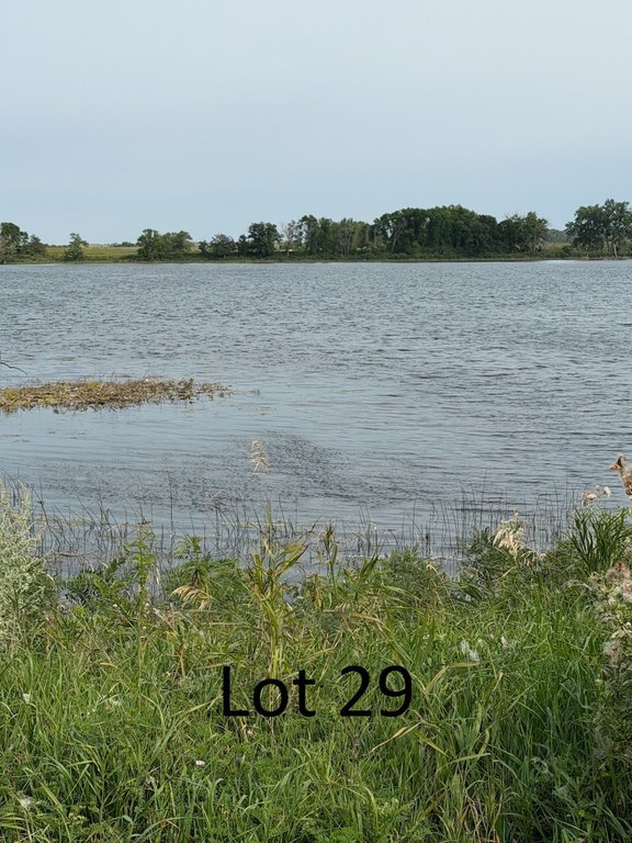 Picture 10