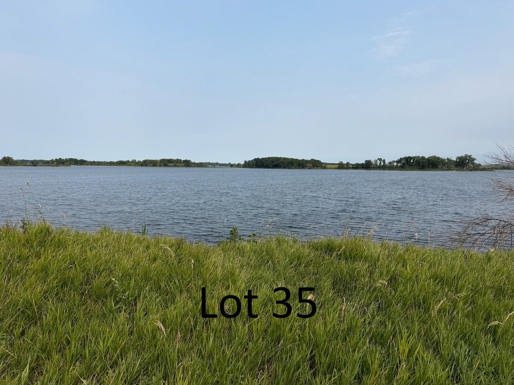 Picture 17