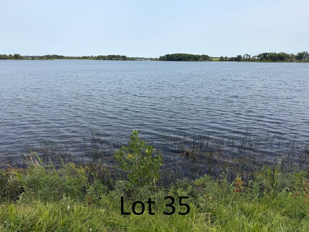 Picture 19