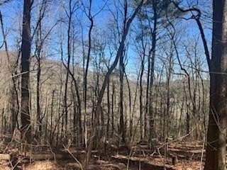 Vacant Lot, Cherry Log, GA