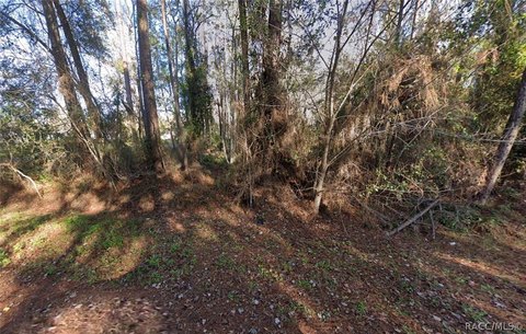 LAND - Satsuma, FL