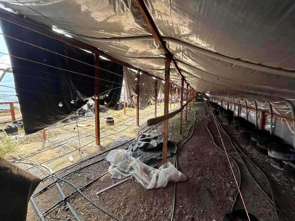 Picture 21