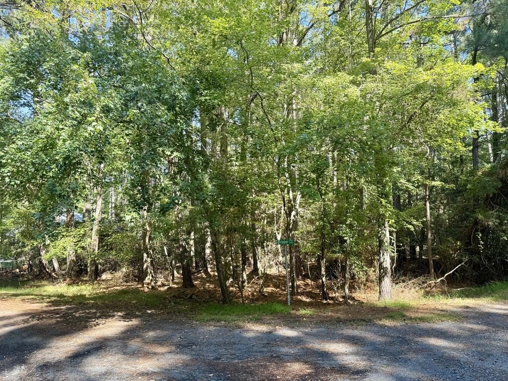Picture 11