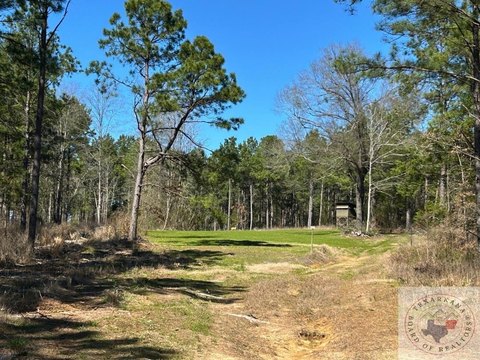 East Texas Timberland Hunting Property