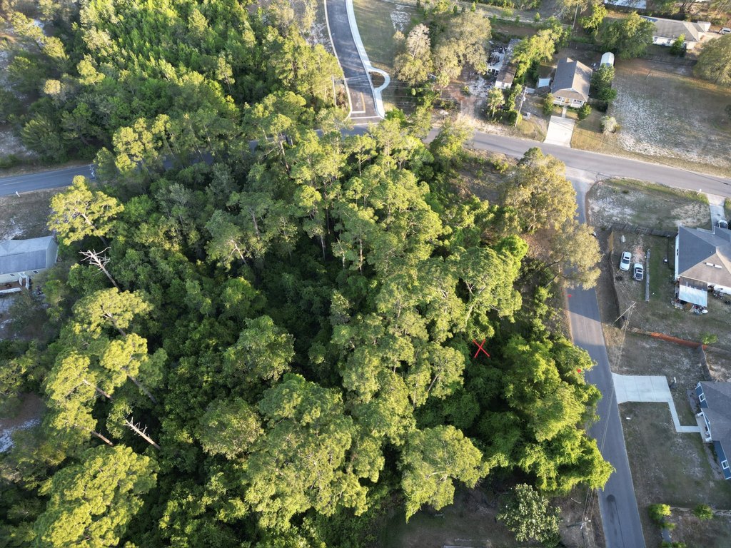 Picture 21