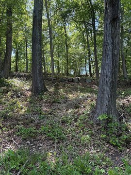 LAND - Brewster, NY