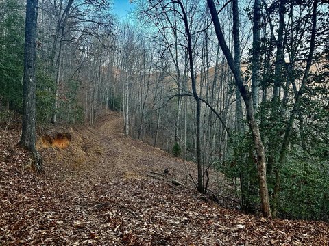Unrestricted Land in Cowee, NC