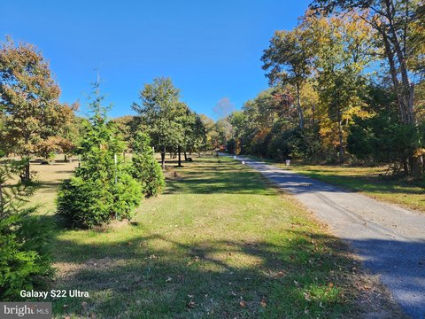 Wooded Land in Brandywine, Maryland