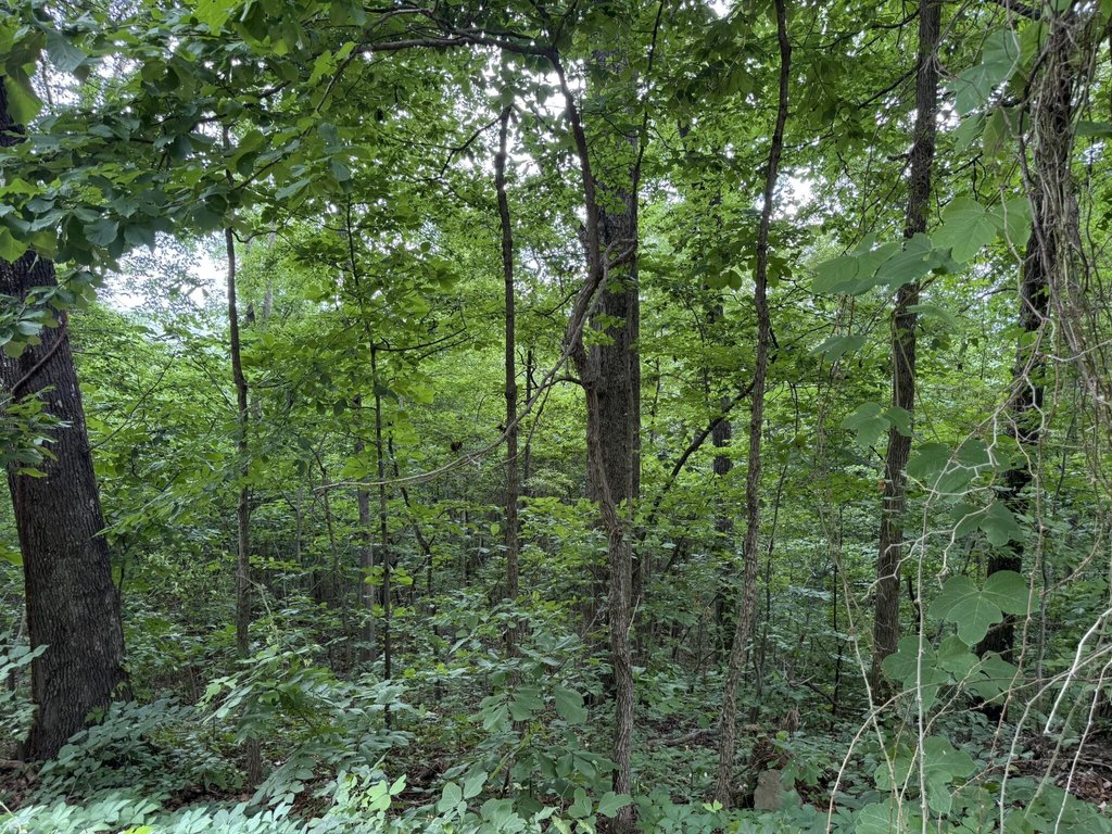 Picture 7