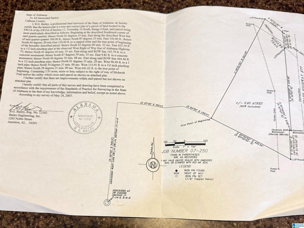 Picture 19