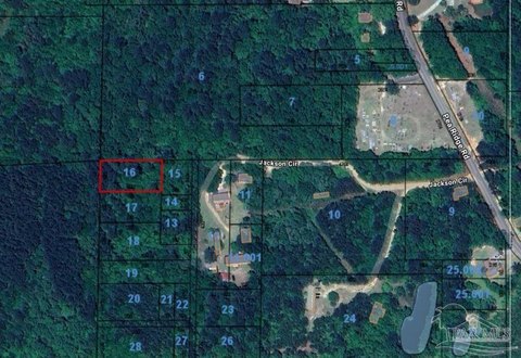 Wooded Lot Near Brewton, AL