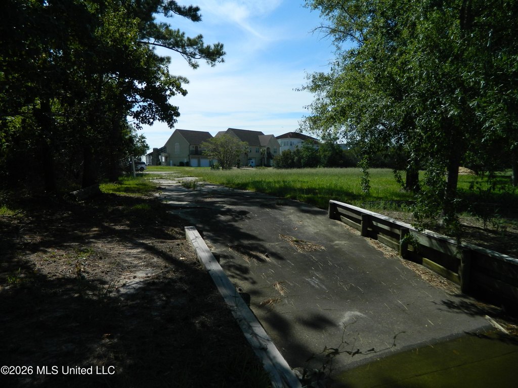 Picture 7