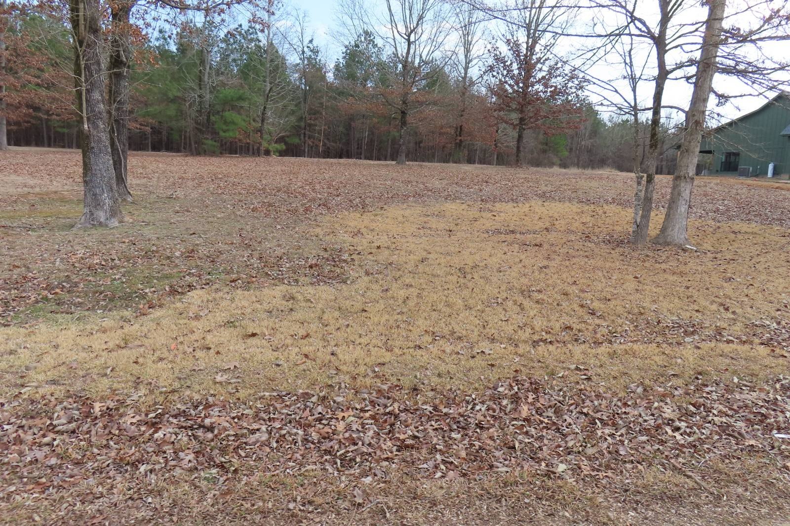 Hilltop Homesite with Lake View