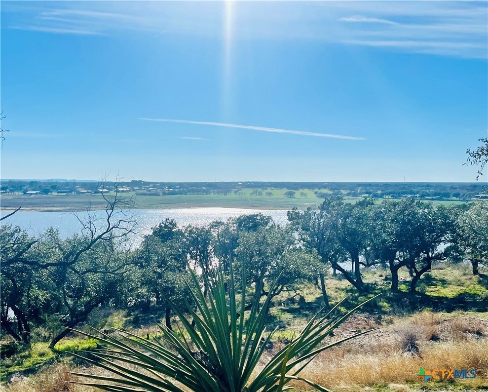 Lake Buchanan Waterfront Land Opportunity