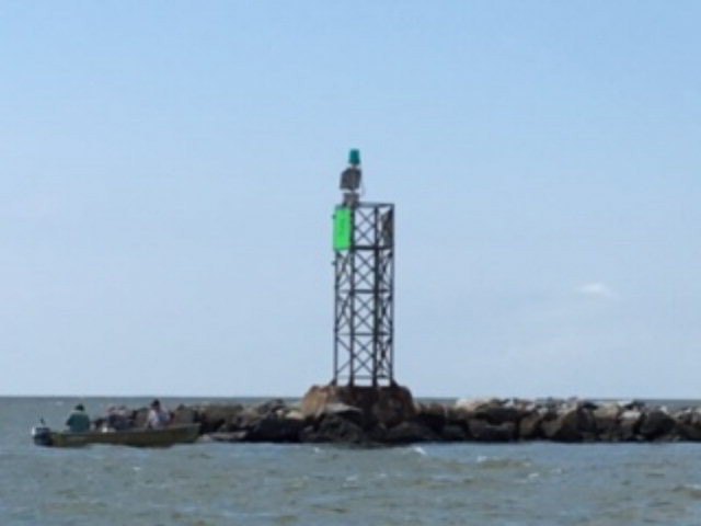Picture 8