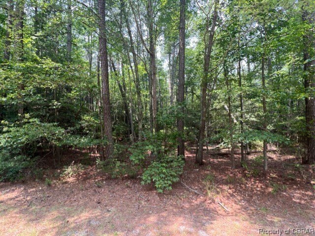 Wooded Lot Near Waterfront Amenities