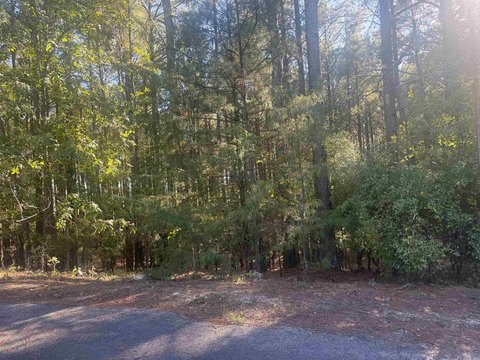 Vacant Land, Hot Springs Village, AR