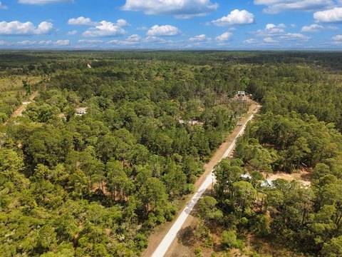 Wooded Land Near Cedar Key