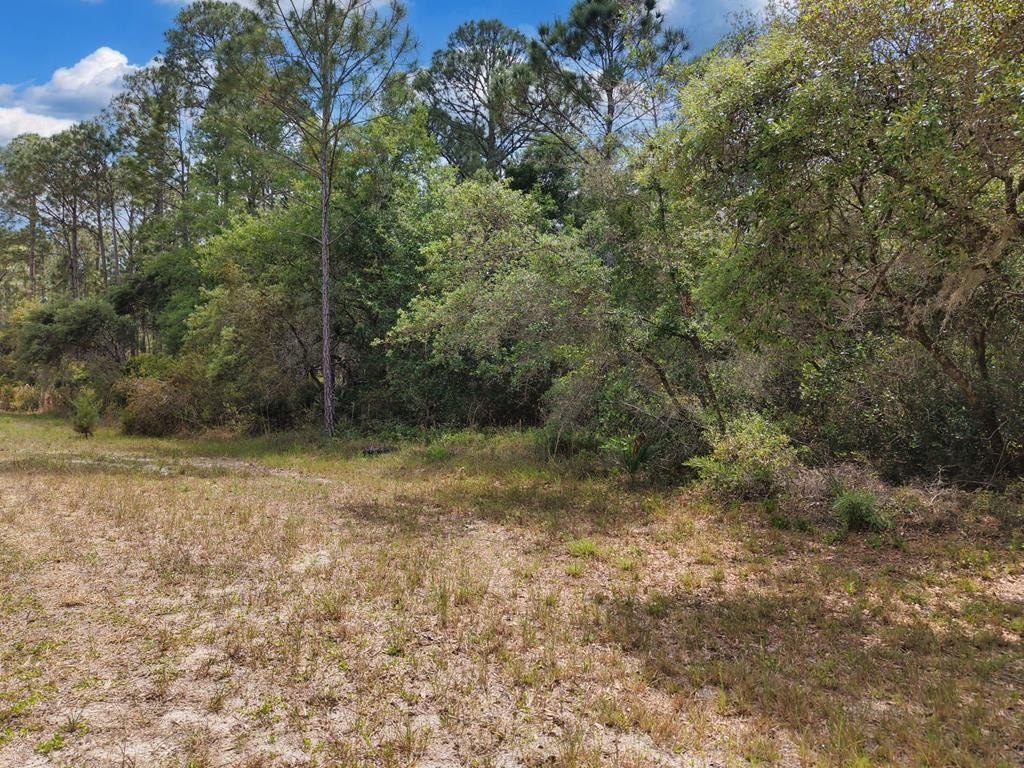 Picture 6