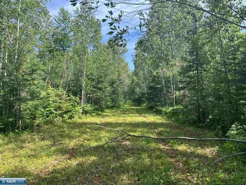 160 Acres Minnesota Wilderness Land