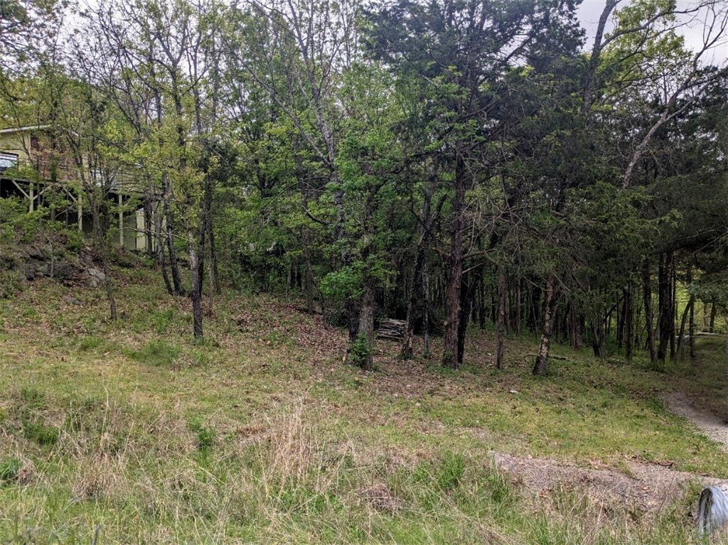 Picture 5