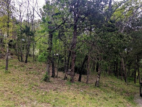 Holiday Island Land for Sale