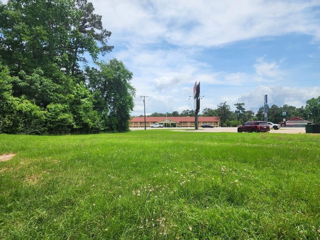 Picture 21