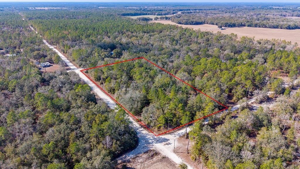 Vacant Land in Bell, Florida