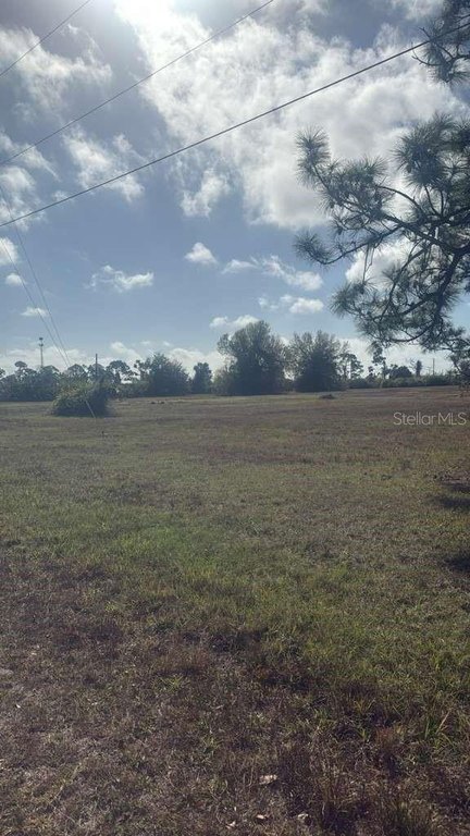 Picture 4