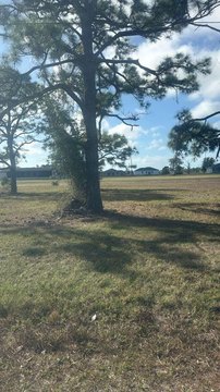 Deed-Restricted Cul-de-Sac Residential Lot