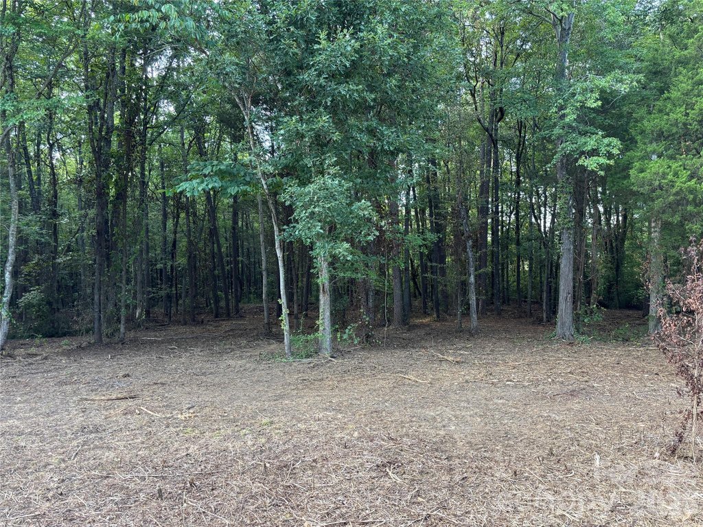 Picture 3