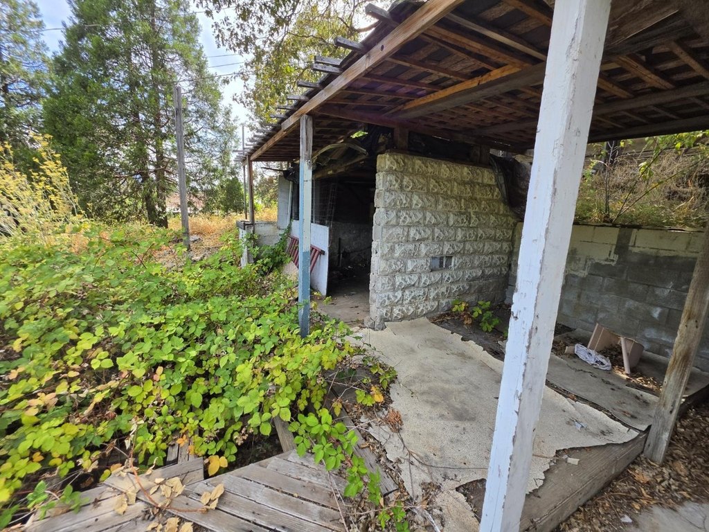 Picture 6