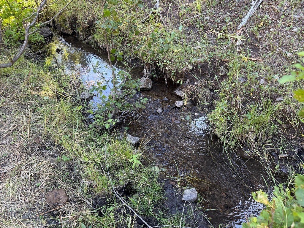 Picture 17