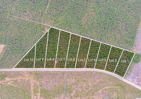 Land in Galivants Ferry, SC