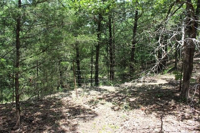 3.56 Acres of Hunting Land