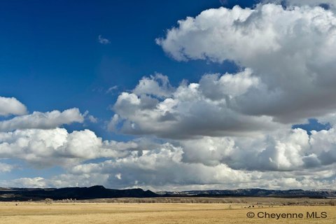 Untreated Hunting and Recreational Land