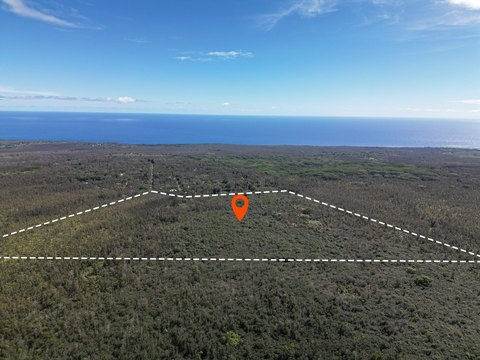 Pahoa, HI Pristine Forest Land