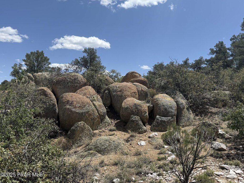 Picture 29