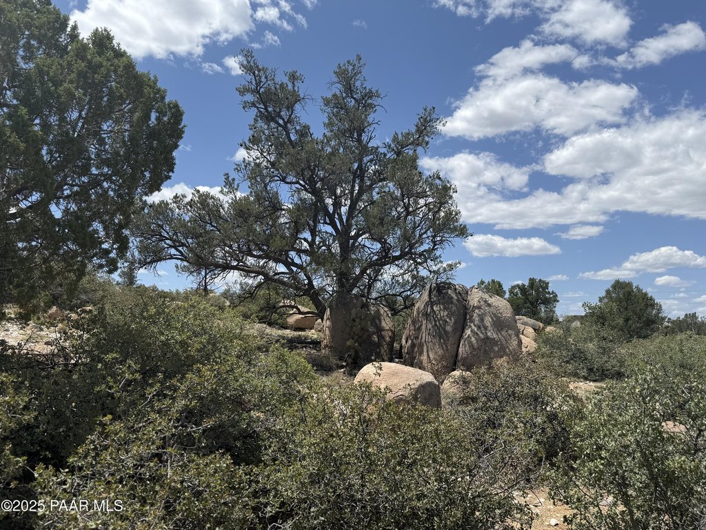 Picture 28