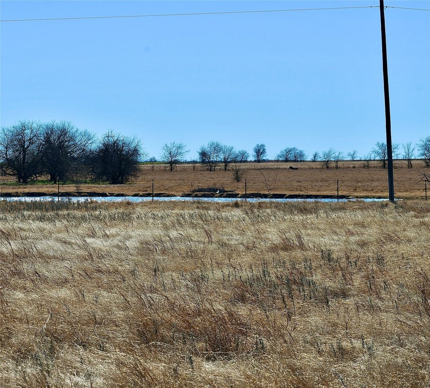 Picture 11