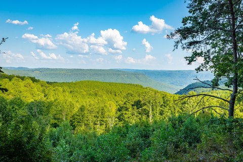 Land, Guild, TN