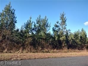 Residential Land in Denton, NC