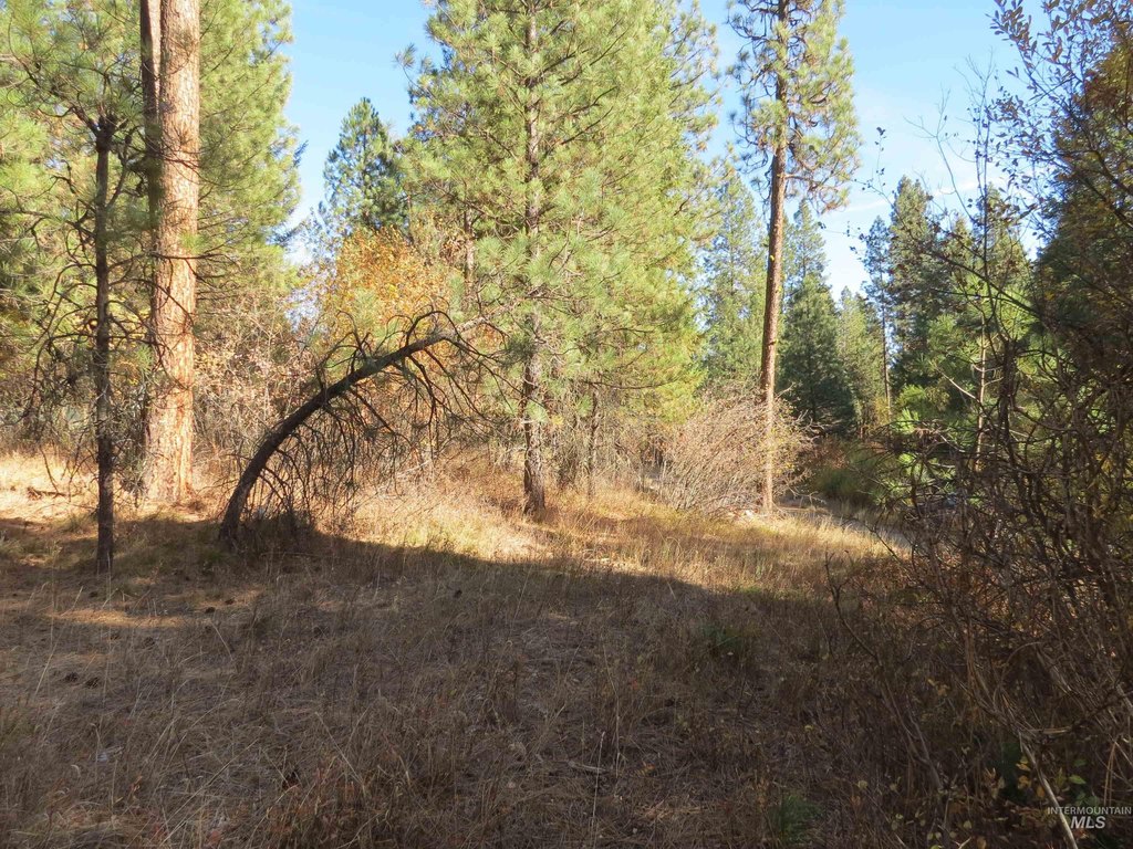 Picture 8