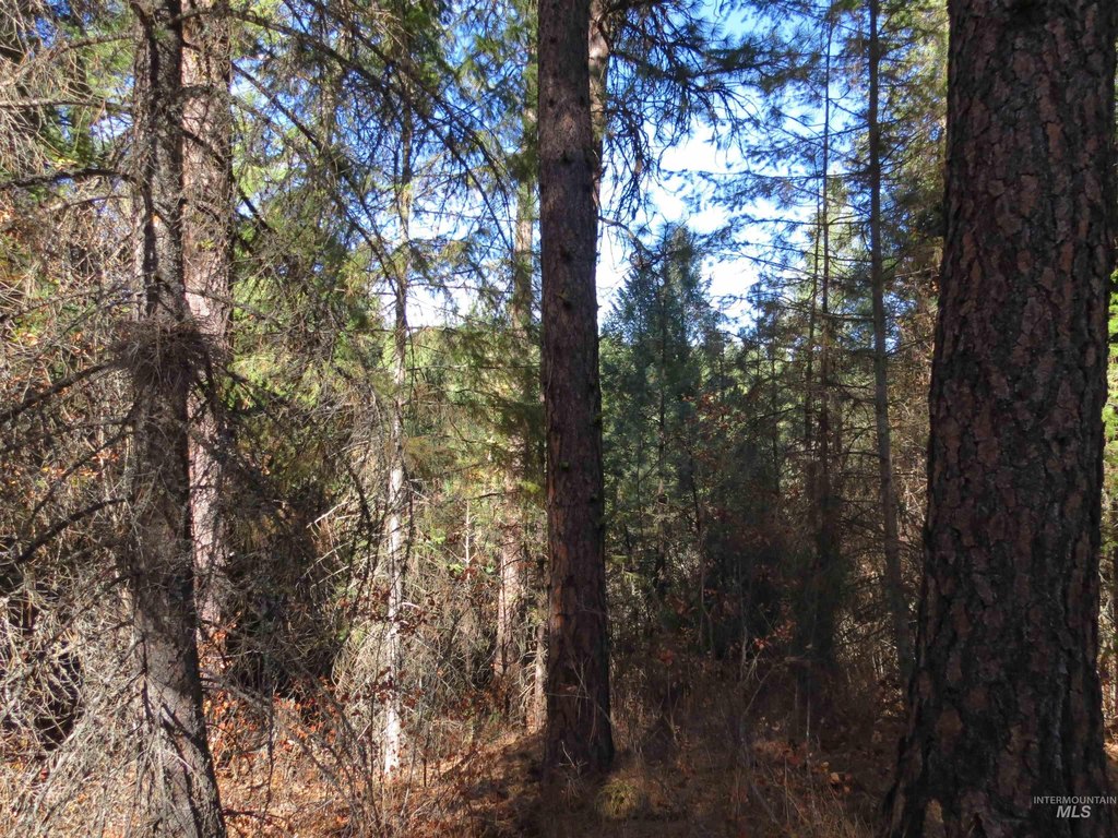 Picture 13
