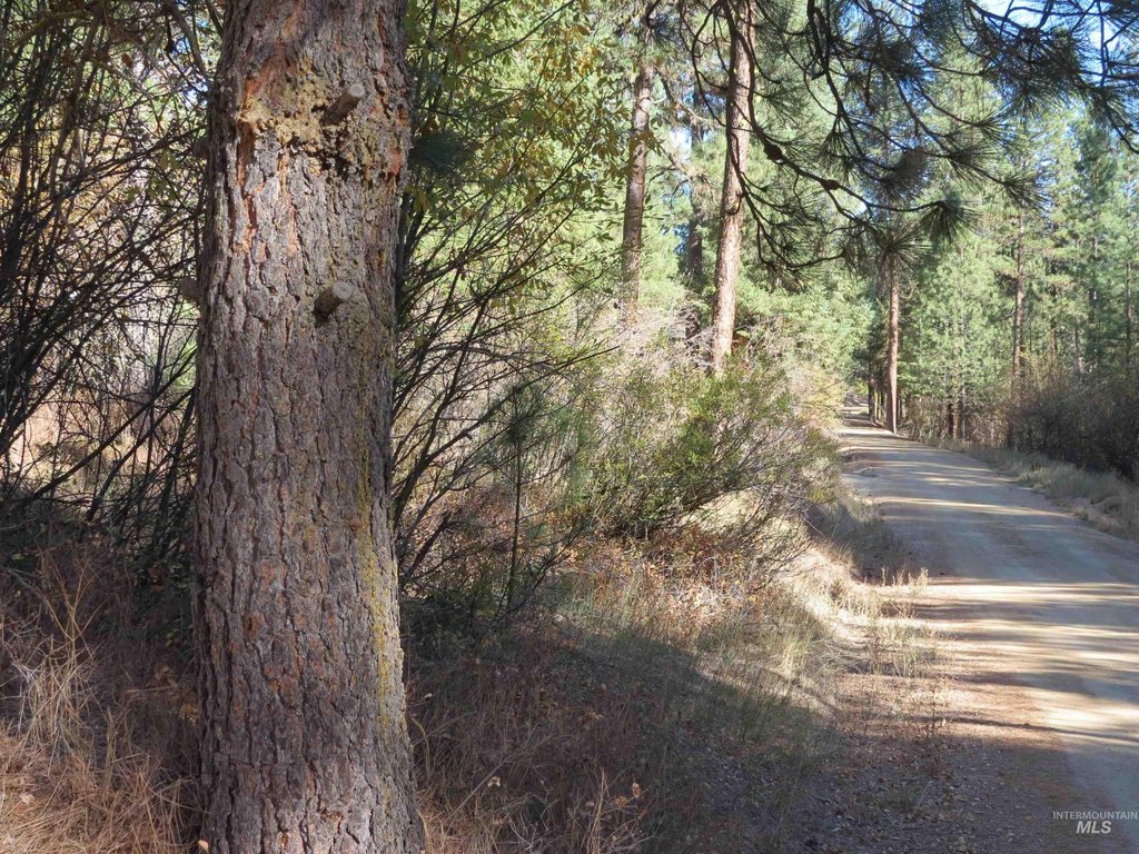 Picture 15
